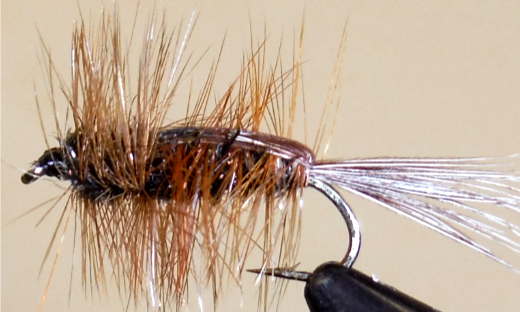 Stone Creek Halfback Stonefly Nymph
