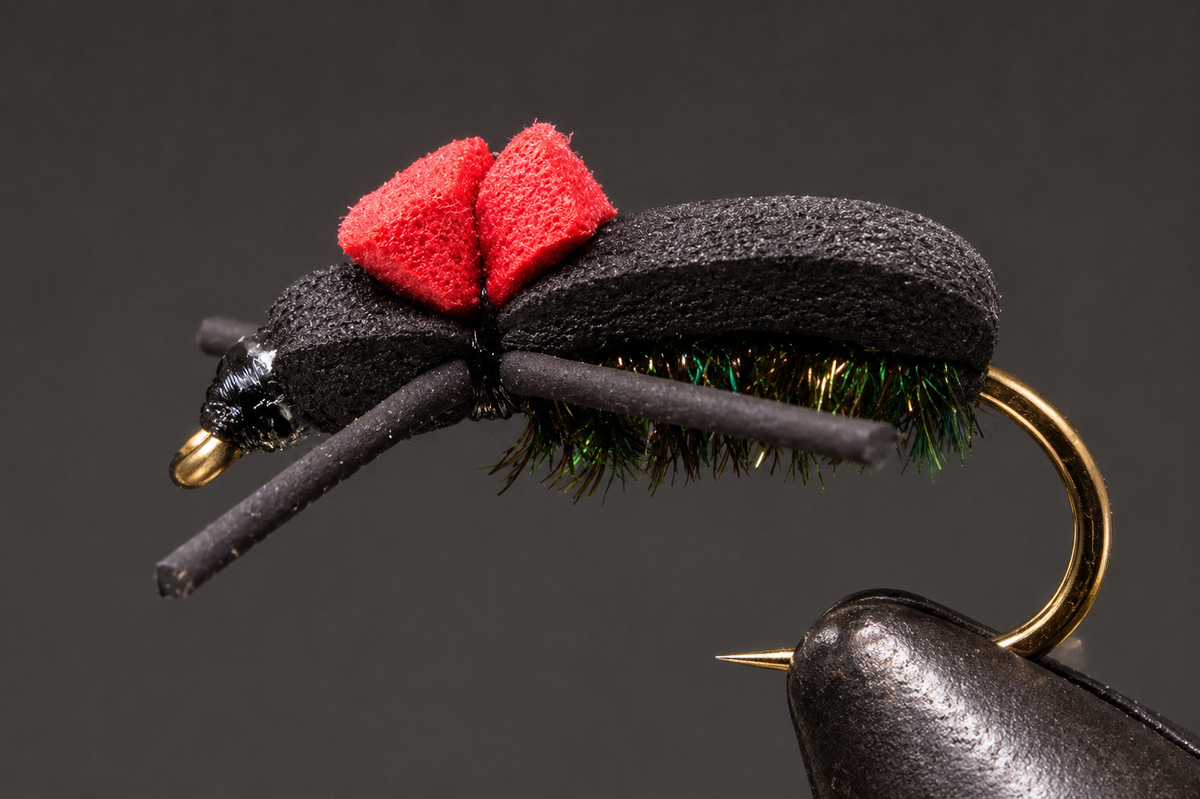 Stone Creek Red Top Foam Beetle Terrestrial Fly