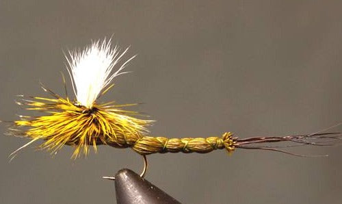 Stone Creek Green Drake Paradrake Dry Fly