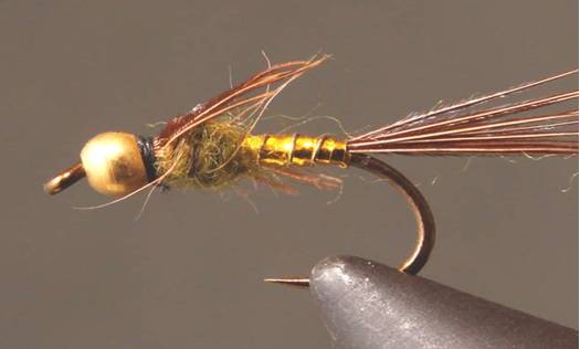 Stone Creek Bead Head Lightning Bug - Gold Nymph