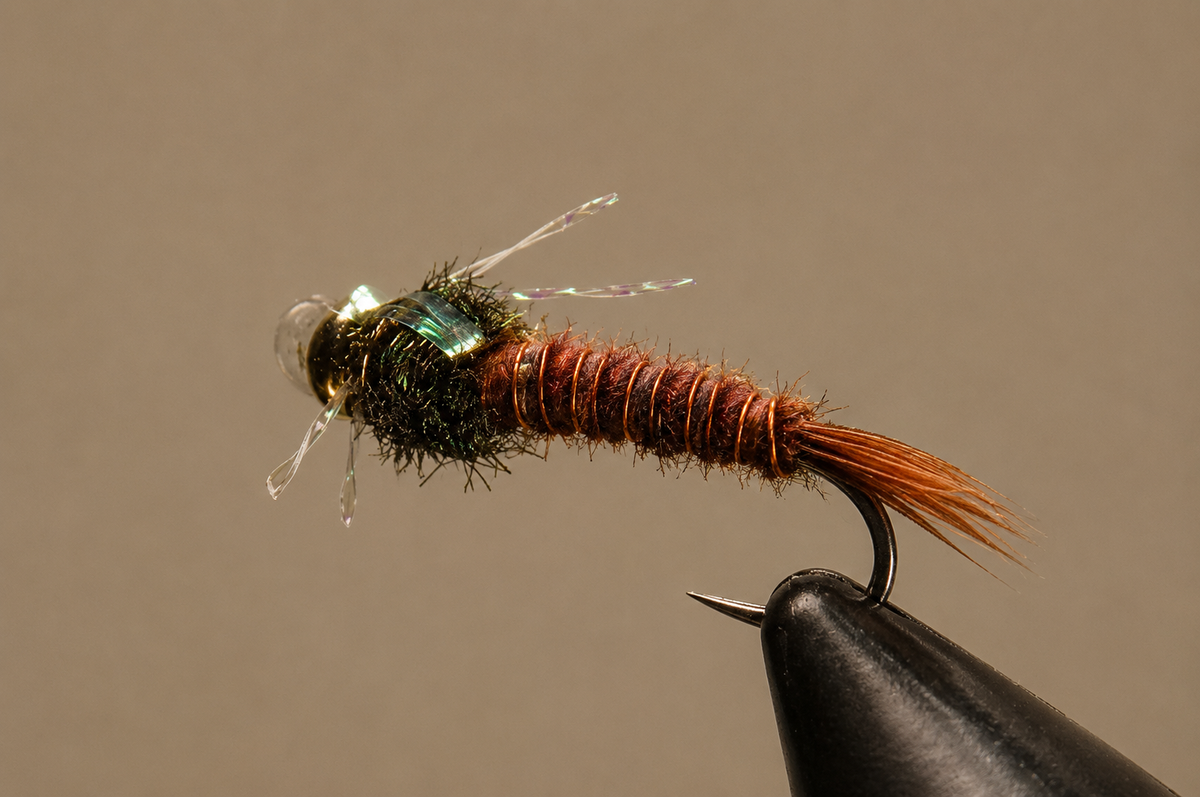 Stone Creek Bead Head Pheasant Tail - Sparkle Nymph