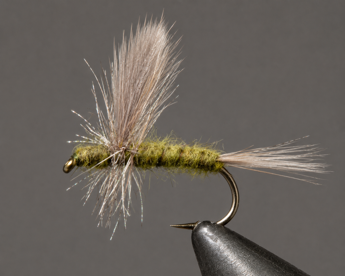 Stone Creek Blue Wing Olive - Thorax Dry Fly