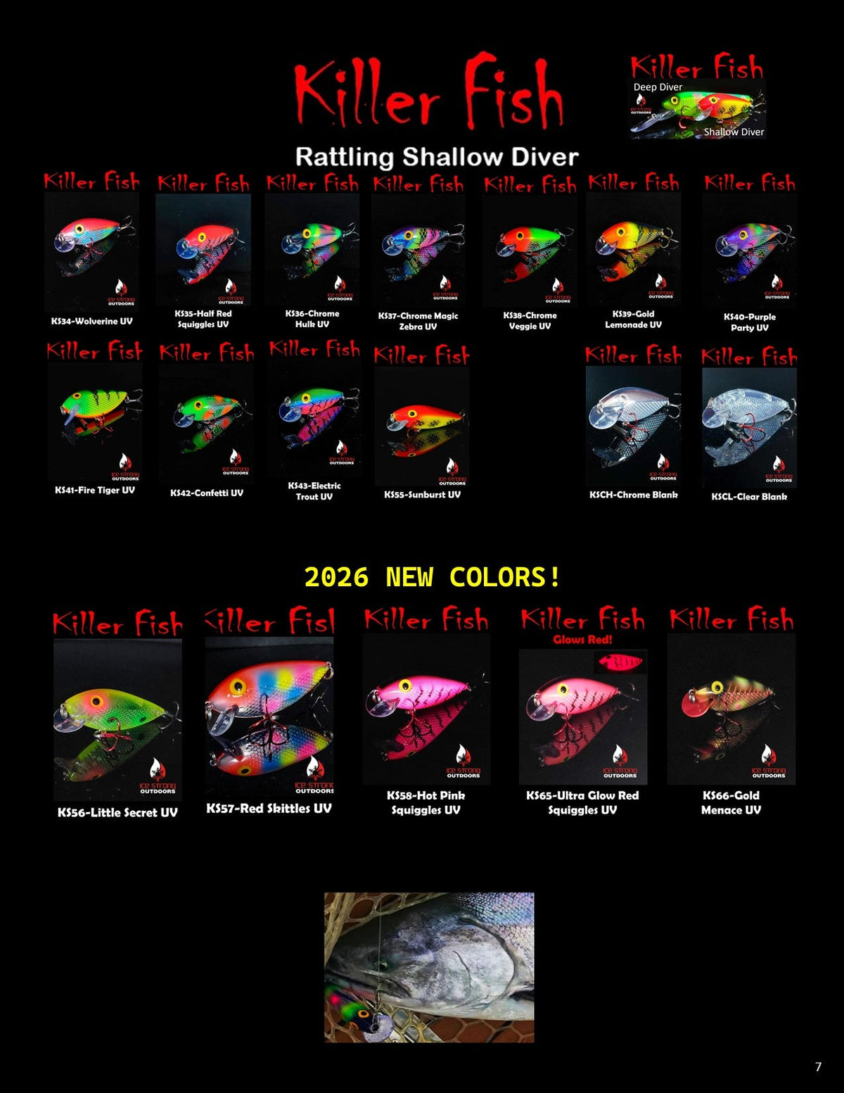 Ice Strong Killer Fish UV Rattling Shallow Diver