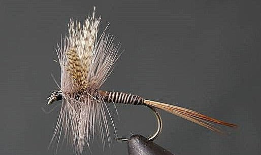 Stone Creek Red Quill Dry Fly