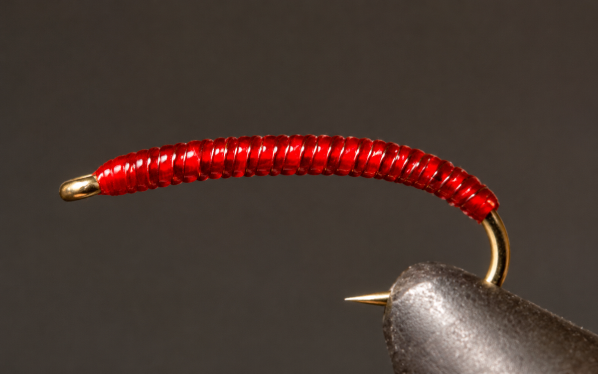 Stone Creek Rock Worms / Annelid Flies