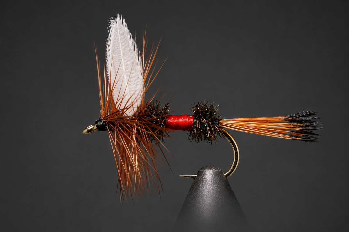Stone Creek Royal Coachman Dry Fly