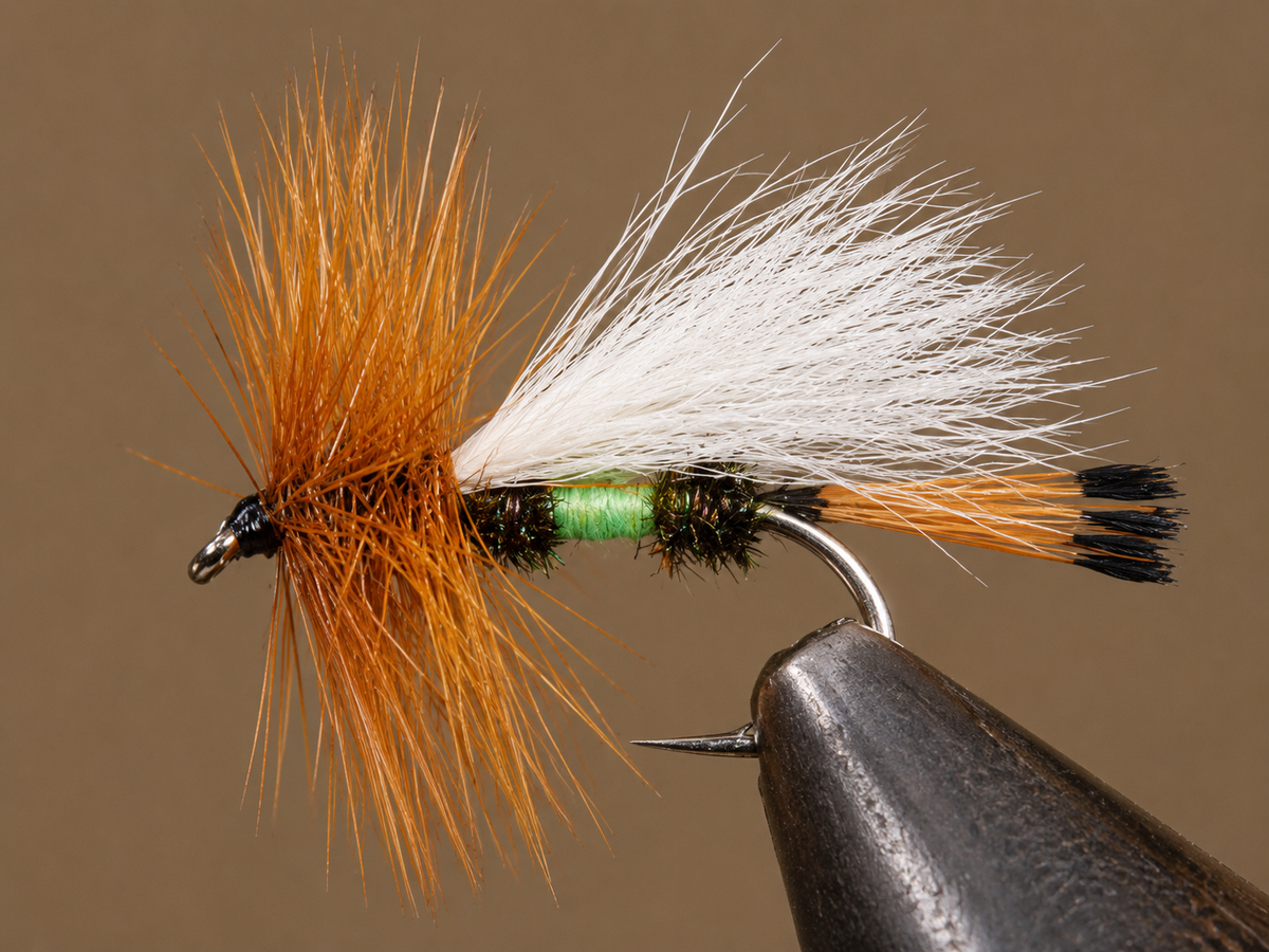 Stone Creek Royal Coachman Trude (Lime) Dry Fly