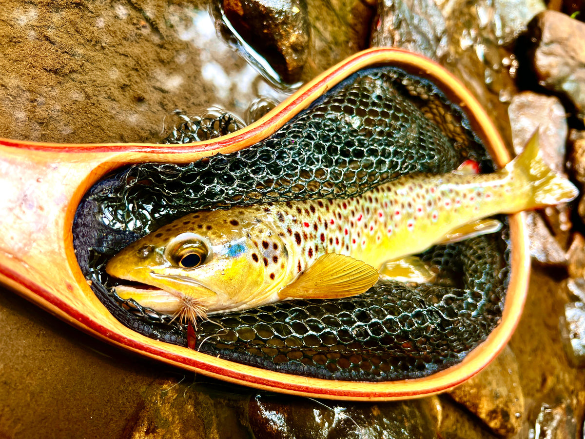 Risen Blue Line Small Landing Net