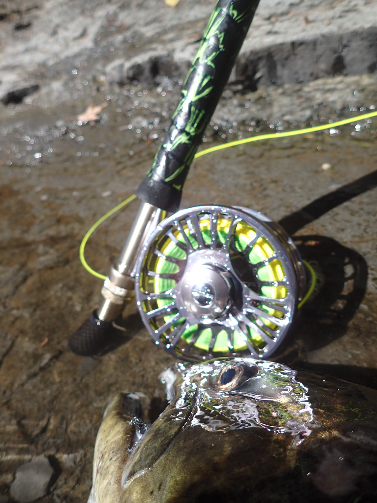 Risen Goliath Rod and Reel Combo