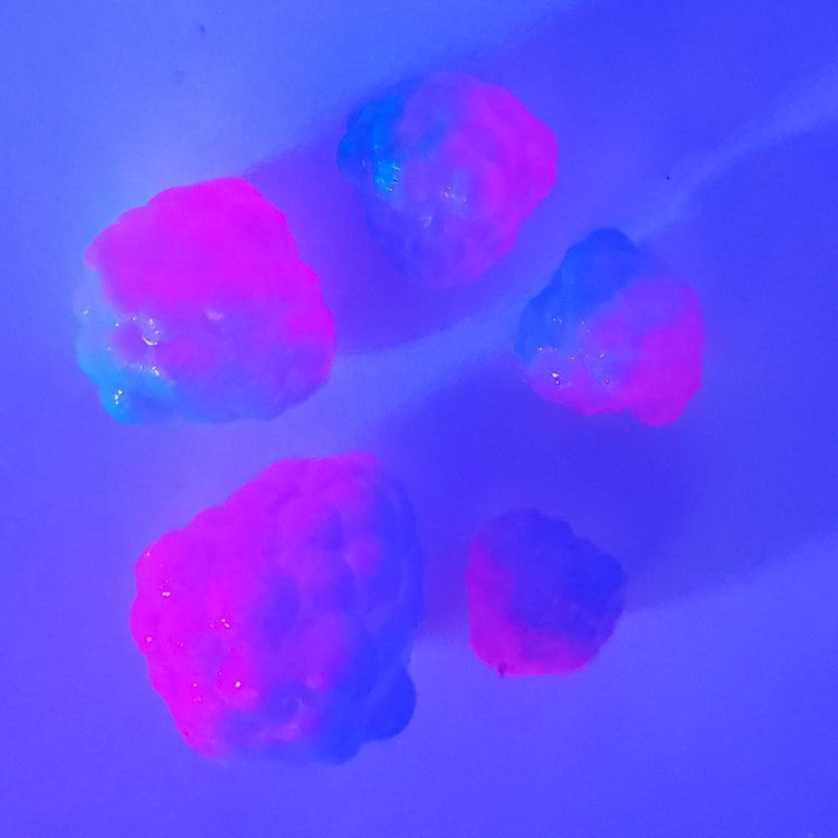Robolize Okie Drifter - Cotton Candy