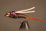 Stone Creek Bead Head Blue Rainbow Prince Nymph