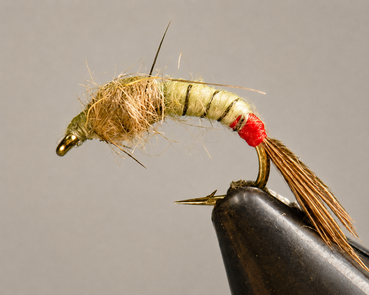 Stone Creek Long Tall Sally Nymph