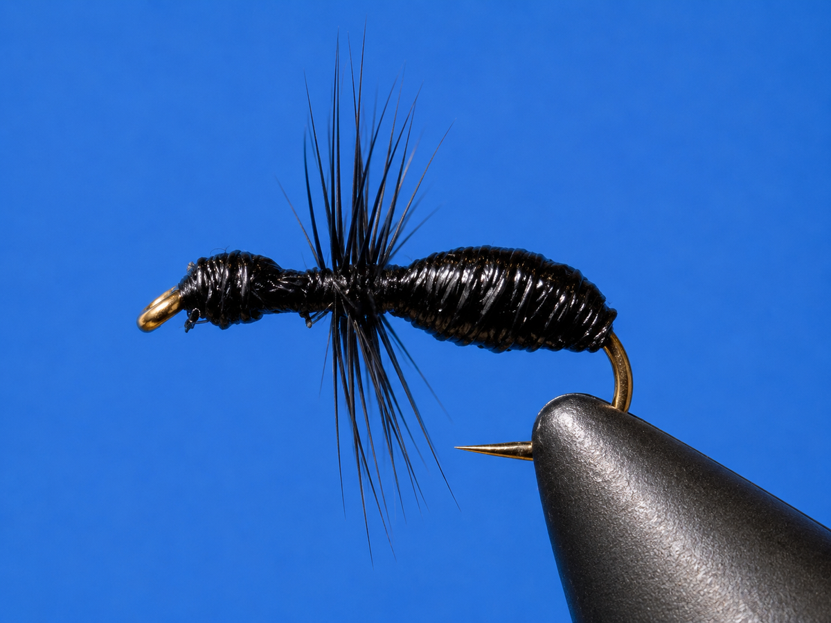 Stone Creek Ants Terrestrial Fly