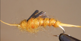 Stone Creek Giant Kauffmann Stonefly Nymphs