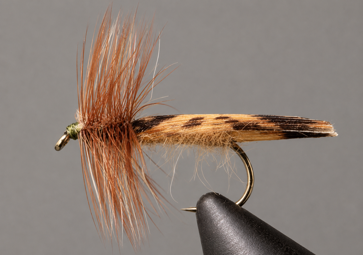 Stone Creek King River Caddis Dry Fly