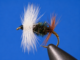 Stone Creek Renegade Dry Fly