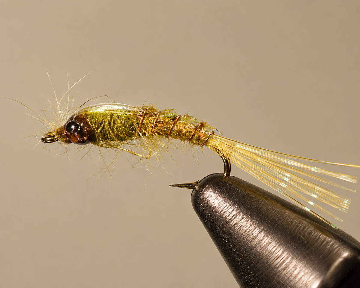 Stone Creek Damselfly Nymphs