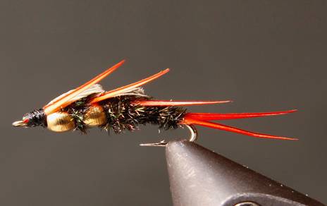 Stone Creek Double Bead Peacock Stonefly Nymphs