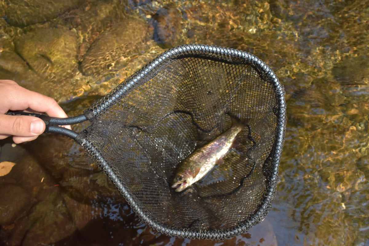 Natives Brook Small-Stream Landing Net