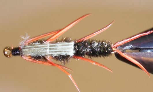 Stone Creek Double Bead Peacock Stonefly Nymphs