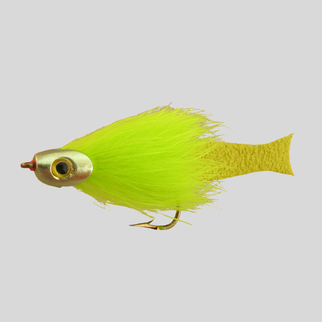 Fish-Skull Forage Fly Streamer