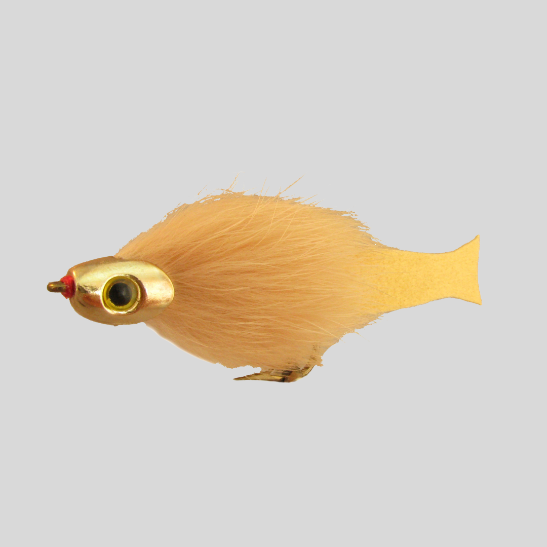 Fish-Skull Forage Fly Streamer