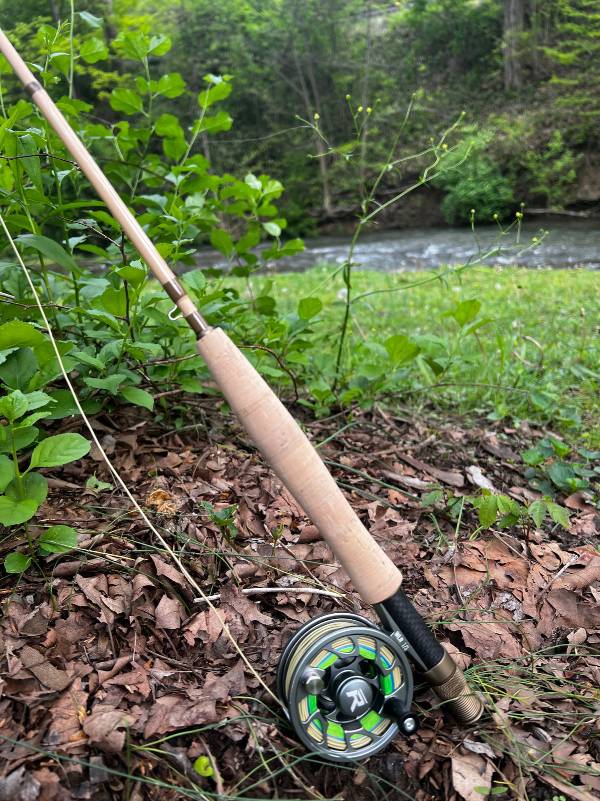 Risen WLR Rod and Reel Combo