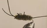 Stone Creek Pat's Rubber Leg Stonefly Nymphs