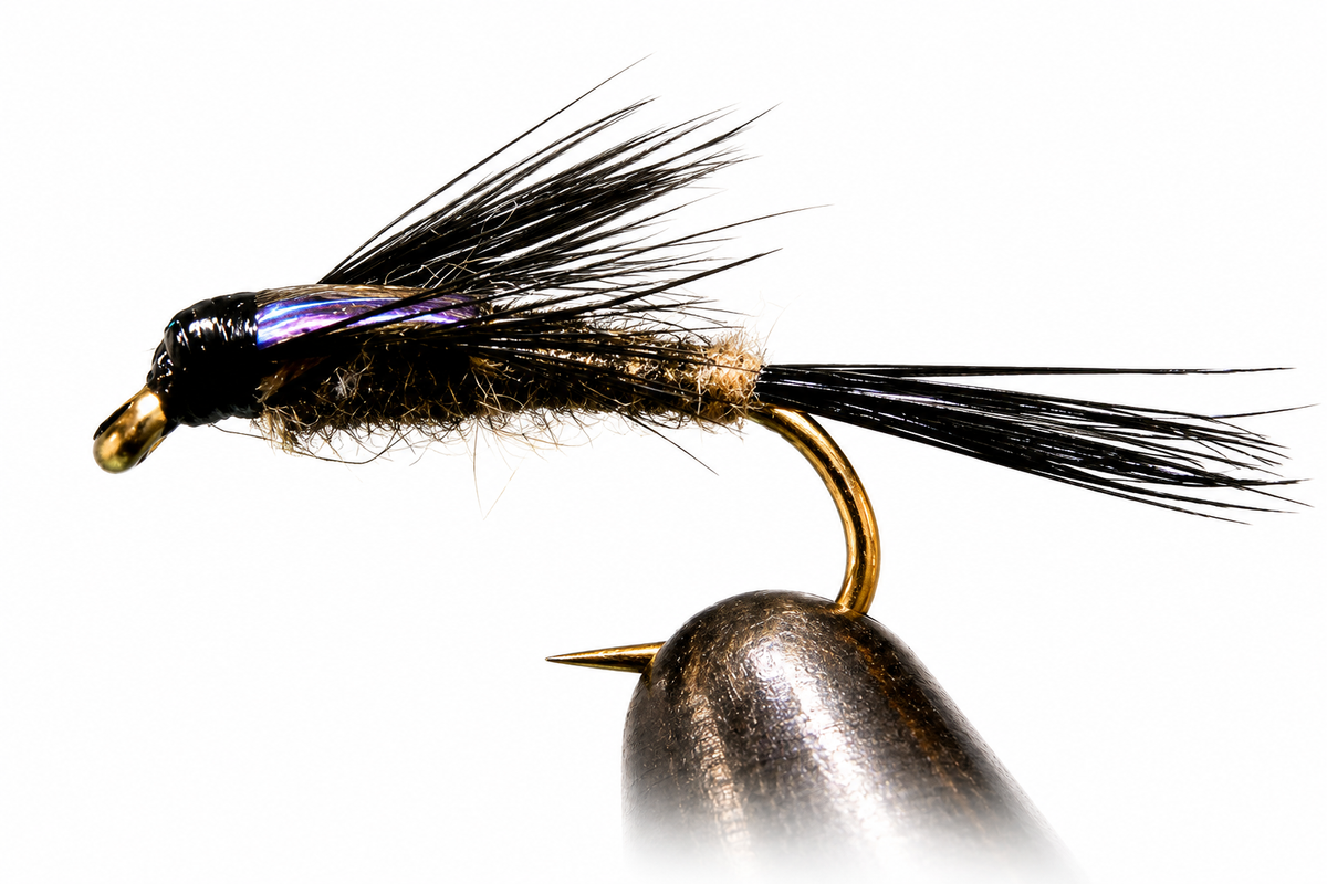 Stone Creek Purple Back Baetis Nymph