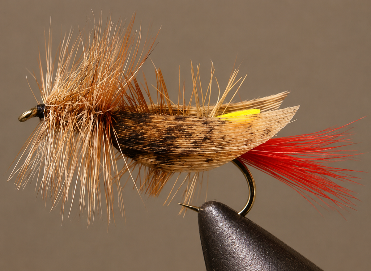 Stone Creek Joe's Hopper Terrestrial Fly