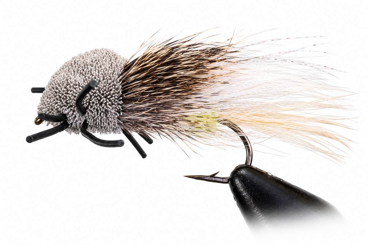 Stone Creek Tarantulas Terrestrial Fly