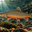 Brook Trout