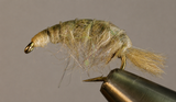 Stone Creek Molting Scud Flies