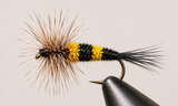 Stone Creek Bumble Bee Terrestrial Fly