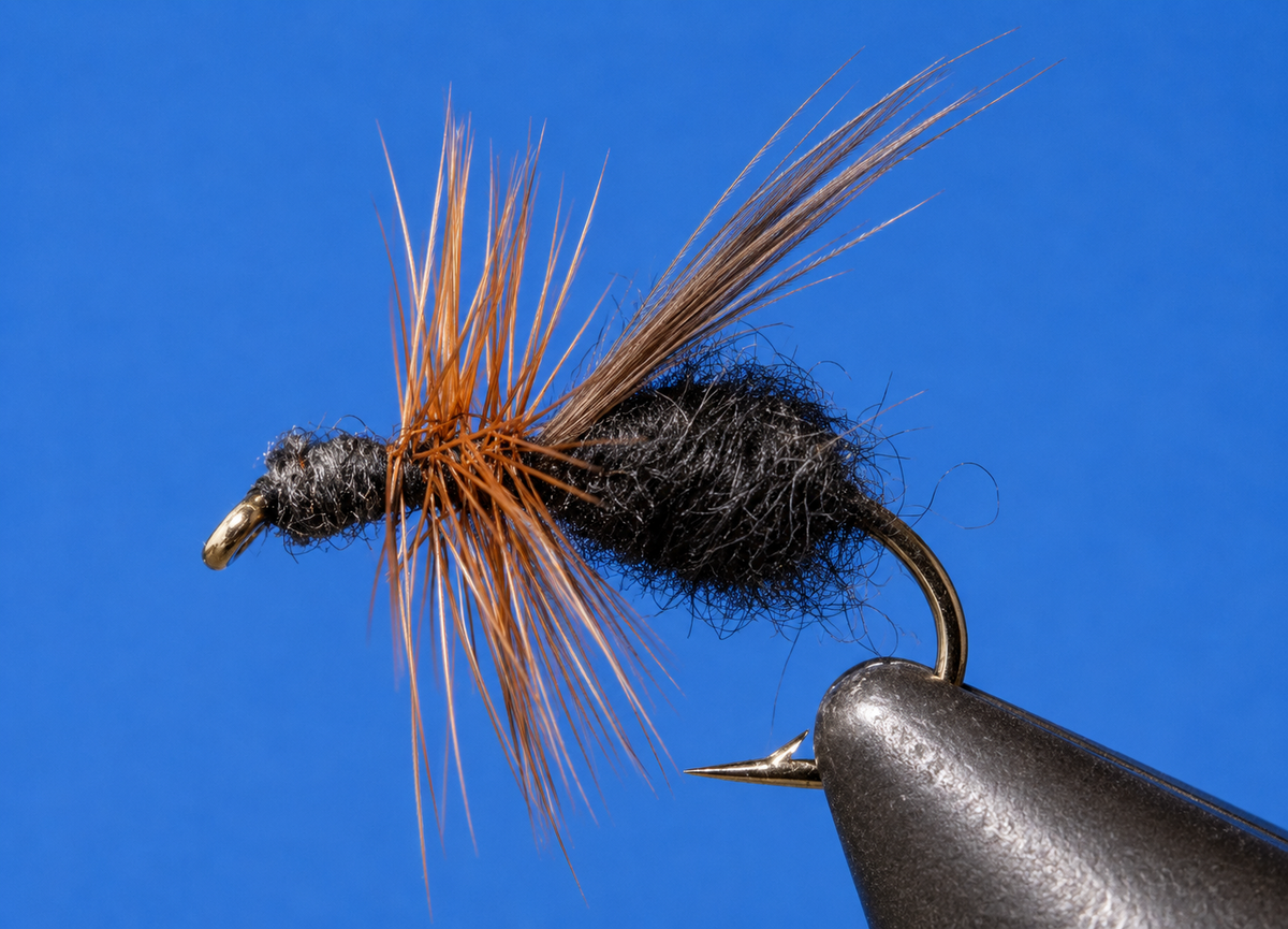 Stone Creek Ants Terrestrial Fly