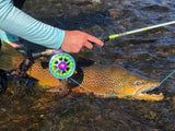 Risen Goliath Rod and Reel Combo