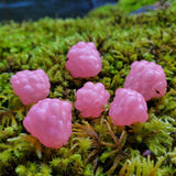 Robolize Okie Drifter - Bubblegum
