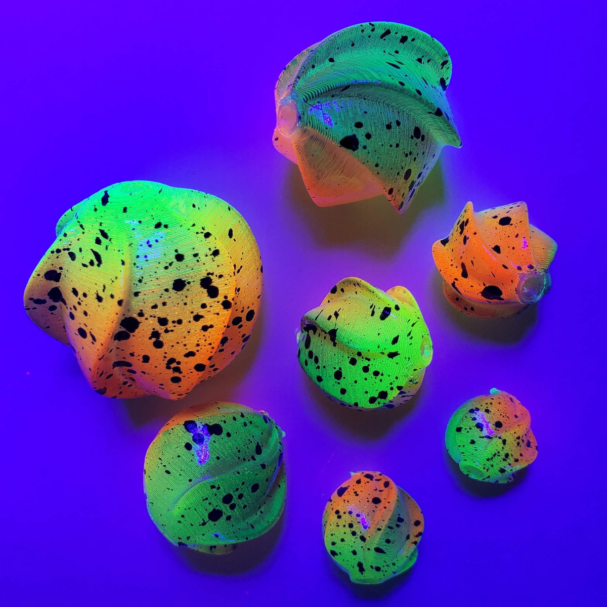 Robolize Spin-Roe - Toxic Toad